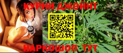 трава Новозыбков