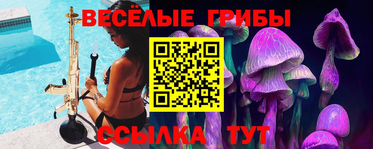 Псилоцибиновые грибы GOLDEN TEACHER Семёнов
